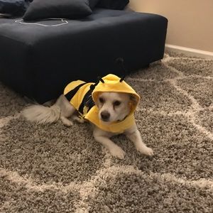 Meet your Posher, Puja